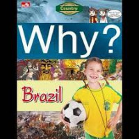 Image of Why? brazil