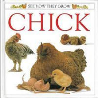 See How They Grow : Chick