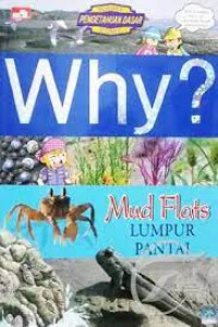 Why? Mud Flats;lumpur pantai.