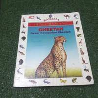 Rahasia dunia binatang 18 : Cheetah