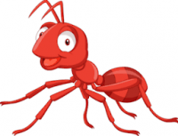 Petualangan redi si semut merah