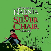 The silver chair #6