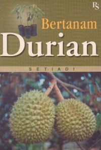 Bertanam durian