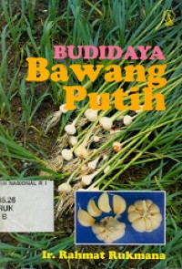 Budidaya bawang putih